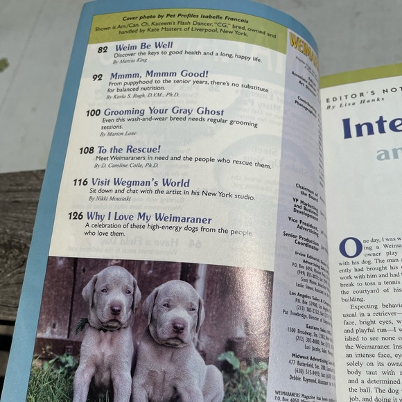 Dog Fancy Popular Dogs Series Weimaraners Volume 42 Magazine Format 128 pages - Picture 3 of 8
